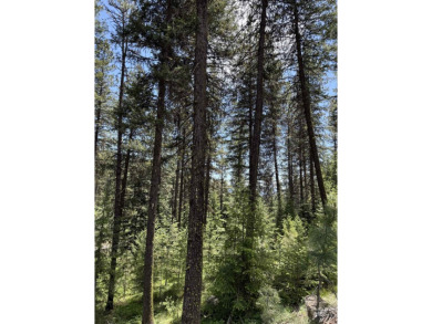 Timbered building lot in MeadowCreek Golf Resort. Located off of on Meadowcreek Golf Resort in Idaho - for sale on GolfHomes.com, golf home, golf lot
