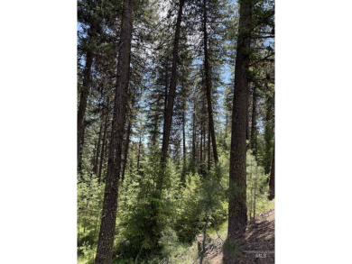Timbered building lot in MeadowCreek Golf Resort. Located off of on Meadowcreek Golf Resort in Idaho - for sale on GolfHomes.com, golf home, golf lot
