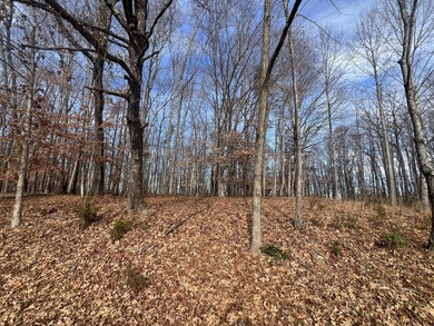 COME BUILD YOUR DREAM HOME ON THIS BEAUTIFUL CORNER LOT AT SMITH on The Waterfront Country Club in Virginia - for sale on GolfHomes.com, golf home, golf lot