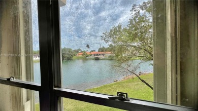 AMAZING LAKE FRONT, COMPLETELY REMODELED, LOWEST PRICE IN on Miccosukee Golf and Country Club in Florida - for sale on GolfHomes.com, golf home, golf lot