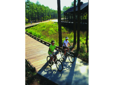 Immaculate Move-In Ready Ranch by Award-Winning Hagood Homes! on Members Club At St. James Plantation in North Carolina - for sale on GolfHomes.com, golf home, golf lot