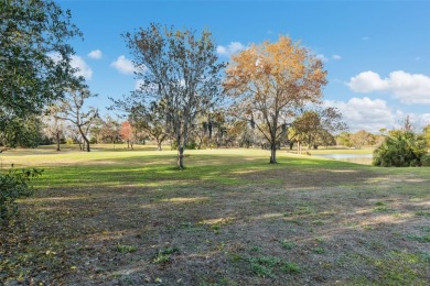Welcome to your bright and cheerful haven in the heart of on Heather Golf and Country Club in Florida - for sale on GolfHomes.com, golf home, golf lot