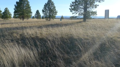 This lot is located in THE premier subdivision in Lewistown on Pine Meadows Golf Course in Montana - for sale on GolfHomes.com, golf home, golf lot