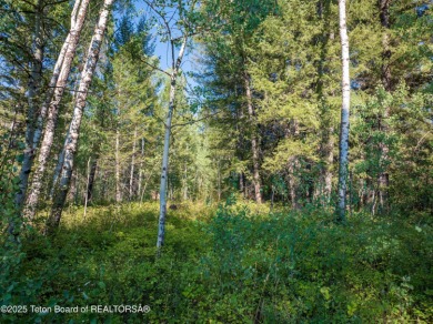 Rare opportunity to own FOUR adjacent lots in a very private on Star Valley RV Golf Course in Wyoming - for sale on GolfHomes.com, golf home, golf lot