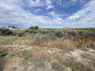 Close to Spring Creek Golf Course. Wonderful 2.23 acre lot in on Spring Creek Golf Course in Nevada - for sale on GolfHomes.com, golf home, golf lot
