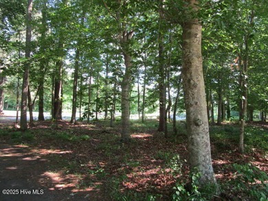 This .44 acre lot located on the golf course with trees in on Sound Golf Links at Albemarle Plantation in North Carolina - for sale on GolfHomes.com, golf home, golf lot