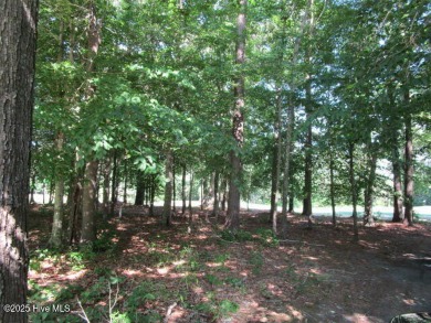 This lot is located in Albemarle Plantation at the 5th green and on Sound Golf Links at Albemarle Plantation in North Carolina - for sale on GolfHomes.com, golf home, golf lot