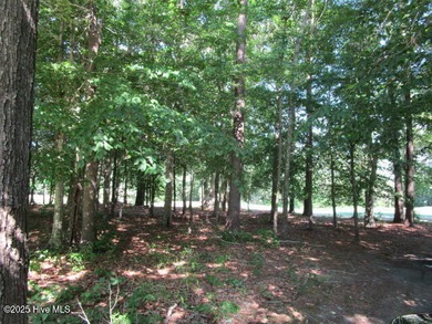 This .44 acre lot located on the golf course with trees in on Sound Golf Links at Albemarle Plantation in North Carolina - for sale on GolfHomes.com, golf home, golf lot