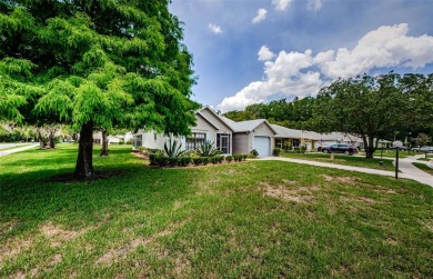 Welcome to carefree Florida living in this move-in ready on Summertree Golf Course in Florida - for sale on GolfHomes.com, golf home, golf lot