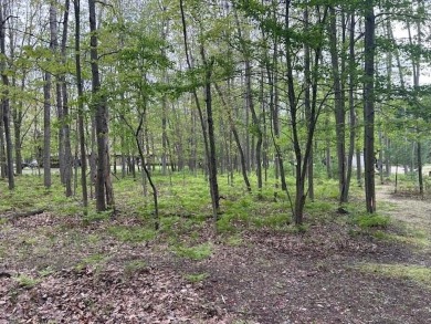 Great buildable lot on the 10th hole at the Royal Golf Course on Canadian Lakes Country Club-The Royal Course in Michigan - for sale on GolfHomes.com, golf home, golf lot