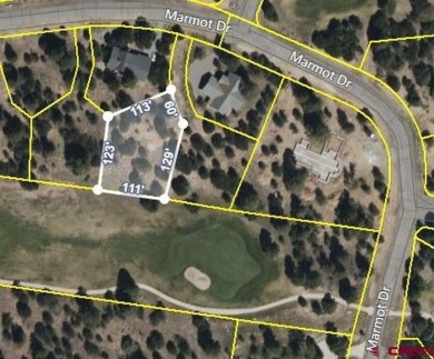 Marc B Hitchcox, NextHome Virtual, C: , hitchcoxrealestate,  : on The Divide Ranch and Club in Colorado - for sale on GolfHomes.com, golf home, golf lot