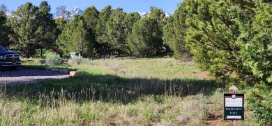 Marc B Hitchcox, NextHome Virtual, C: , hitchcoxrealestate,  : on The Divide Ranch and Club in Colorado - for sale on GolfHomes.com, golf home, golf lot