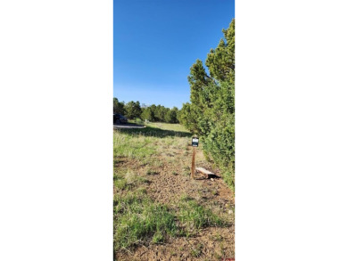Marc B Hitchcox, NextHome Virtual, C: , hitchcoxrealestate,  : on The Divide Ranch and Club in Colorado - for sale on GolfHomes.com, golf home, golf lot