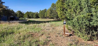 Marc B Hitchcox, NextHome Virtual, C: , hitchcoxrealestate,  : on The Divide Ranch and Club in Colorado - for sale on GolfHomes.com, golf home, golf lot