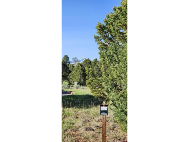 Marc B Hitchcox, NextHome Virtual, C: , hitchcoxrealestate,  : on The Divide Ranch and Club in Colorado - for sale on GolfHomes.com, golf home, golf lot