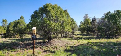 Marc B Hitchcox, NextHome Virtual, C: , hitchcoxrealestate,  : on The Divide Ranch and Club in Colorado - for sale on GolfHomes.com, golf home, golf lot