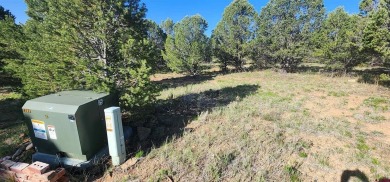 Marc B Hitchcox, NextHome Virtual, C: , hitchcoxrealestate,  : on The Divide Ranch and Club in Colorado - for sale on GolfHomes.com, golf home, golf lot