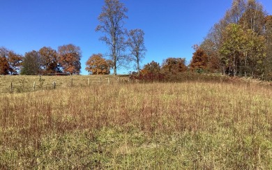 Very nice little knoll to build on with views of Chatuge Shores on Chatuge Shores Golf Course in North Carolina - for sale on GolfHomes.com, golf home, golf lot