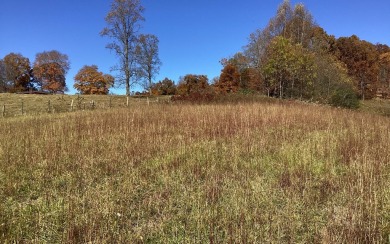 Very nice little knoll to build on with views of Chatuge Shores on Chatuge Shores Golf Course in North Carolina - for sale on GolfHomes.com, golf home, golf lot