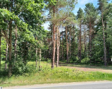 Very nice wooded lot at 800 acre, private, all-sports Lake on The Pines Golf Course at Lake Isabella in Michigan - for sale on GolfHomes.com, golf home, golf lot