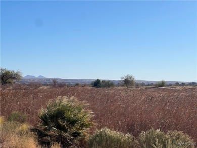 Welcome to this exceptional opportunity to own a flat, buildable on El Rio Golf and Country Club in Arizona - for sale on GolfHomes.com, golf home, golf lot