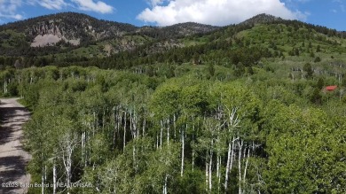 This is a beautiful treed lot tucked into the  northern on Aspen Hills Golf Course in Wyoming - for sale on GolfHomes.com, golf home, golf lot