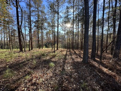 PRICE REDUCED!! Beautiful Waterfront Building Lot in Mount on Mount Vintage Plantation and Golf Club  in South Carolina - for sale on GolfHomes.com, golf home, golf lot