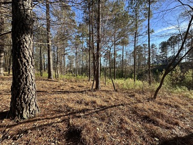 PRICE REDUCED!! Beautiful Waterfront Building Lot in Mount on Mount Vintage Plantation and Golf Club  in South Carolina - for sale on GolfHomes.com, golf home, golf lot