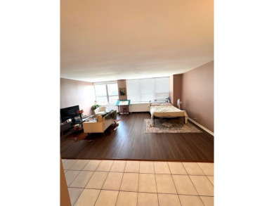 This south-facing bright 550 square foot studio has location on Sydney R. Marovitz Golf Course in Illinois - for sale on GolfHomes.com, golf home, golf lot