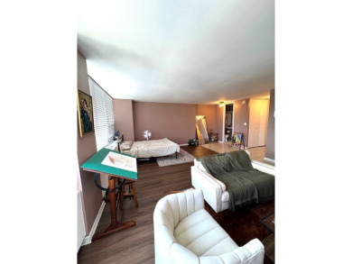 This south-facing bright 550 square foot studio has location on Sydney R. Marovitz Golf Course in Illinois - for sale on GolfHomes.com, golf home, golf lot