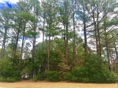 GREAT LOT just 10 MINUTES TO KITTY HAWK BEACHES! Build your on Kilmaric Golf Club in North Carolina - for sale on GolfHomes.com, golf home, golf lot