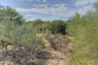 LOWEST PRICE LOT WITH GOLF MEMBERSHIP! Welcome to Desert on Desert Mountain Golf Club - Renegade Course in Arizona - for sale on GolfHomes.com, golf home, golf lot
