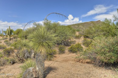 LOWEST PRICE LOT WITH GOLF MEMBERSHIP! Welcome to Desert on Desert Mountain Golf Club - Renegade Course in Arizona - for sale on GolfHomes.com, golf home, golf lot