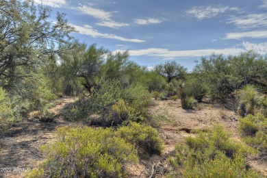 LOWEST PRICE LOT WITH GOLF MEMBERSHIP! Welcome to Desert on Desert Mountain Golf Club - Renegade Course in Arizona - for sale on GolfHomes.com, golf home, golf lot