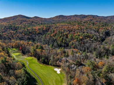 This light-filled mountain home blends modern design with the on Burlingame Country Club in North Carolina - for sale on GolfHomes.com, golf home, golf lot