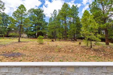 Bespoke Luxury in Walnut Ridge Estates - High-End Finishes on Continental Country Club in Arizona - for sale on GolfHomes.com, golf home, golf lot