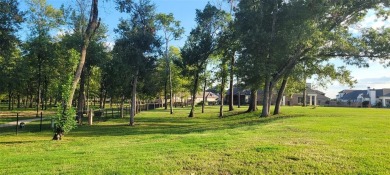 Come Build Your Dream Home! Last Large Lot Available in on The Golf Club At StoneBridge in Louisiana - for sale on GolfHomes.com, golf home, golf lot