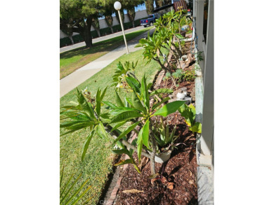 **Welcome to Leisure World in Seal Beach - Southern California's on Leisure World Seal Beach Golf Course in California - for sale on GolfHomes.com, golf home, golf lot