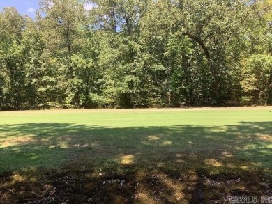 Over 300' on the golf course (just under one acre) 2 lots on Diamondhead Golf and Country Club in Arkansas - for sale on GolfHomes.com, golf home, golf lot
