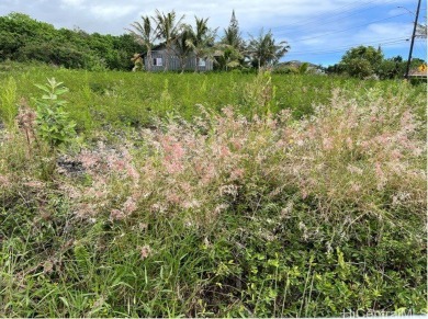 Elevated corner lot with magnificent ocean views.  Lot has plans on Discovery Harbour Golf Course in Hawaii - for sale on GolfHomes.com, golf home, golf lot