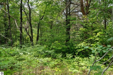 Discover 1.7 acres of beautifully wooded land, conveniently on Lakes of the North Deer Run Golf Course in Michigan - for sale on GolfHomes.com, golf home, golf lot