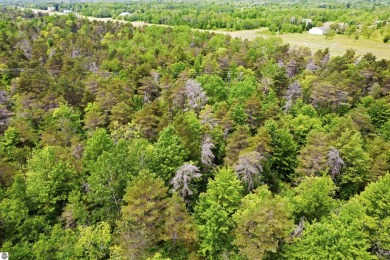 Discover 1.7 acres of beautifully wooded land, conveniently on Lakes of the North Deer Run Golf Course in Michigan - for sale on GolfHomes.com, golf home, golf lot