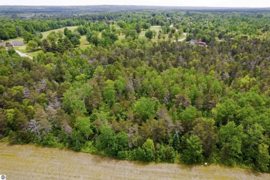 Discover 1.7 acres of beautifully wooded land, conveniently on Lakes of the North Deer Run Golf Course in Michigan - for sale on GolfHomes.com, golf home, golf lot