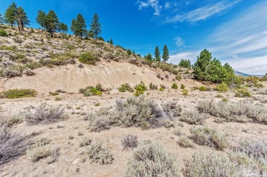 Build your dream home on this Fantastic 5 acre lot with on  in Nevada - for sale on GolfHomes.com, golf home, golf lot