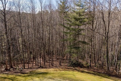 This lot is a rare treasure, spanning 4.33 acres with more than on Burlingame Country Club in North Carolina - for sale on GolfHomes.com, golf home, golf lot