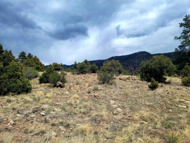 Connie Goodnight, Land Properties, LLC, C: , connie,  : The on Rio Grande Golf Club in Colorado - for sale on GolfHomes.com, golf home, golf lot