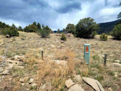Connie Goodnight, Land Properties, LLC, C: , connie,  : The on Rio Grande Golf Club in Colorado - for sale on GolfHomes.com, golf home, golf lot