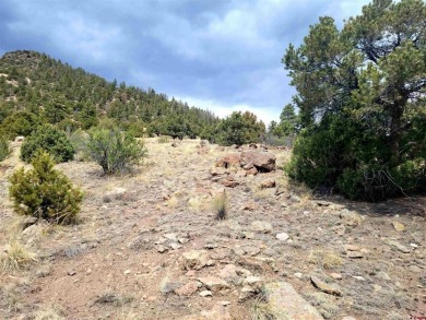 Connie Goodnight, Land Properties, LLC, C: , connie,  : The on Rio Grande Golf Club in Colorado - for sale on GolfHomes.com, golf home, golf lot
