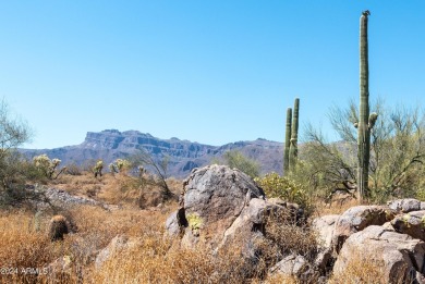 Wow! Build your Dream Home on this Large Vacant Lot on on Gold Canyon Golf Resort  in Arizona - for sale on GolfHomes.com, golf home, golf lot