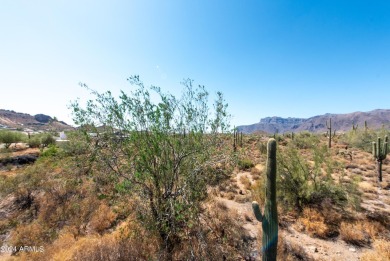 Wow! Build your Dream Home on this Large Vacant Lot on on Gold Canyon Golf Resort  in Arizona - for sale on GolfHomes.com, golf home, golf lot